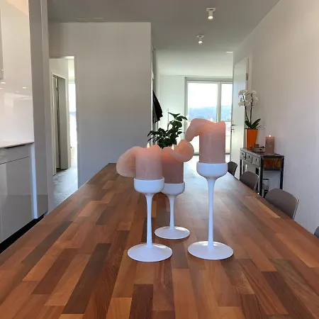 Alloggio in famiglia & Elegant In Bienne