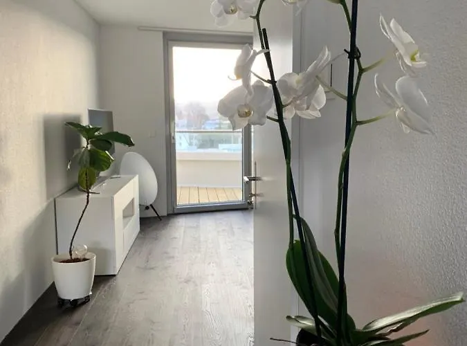 Central&elegant In * Biel