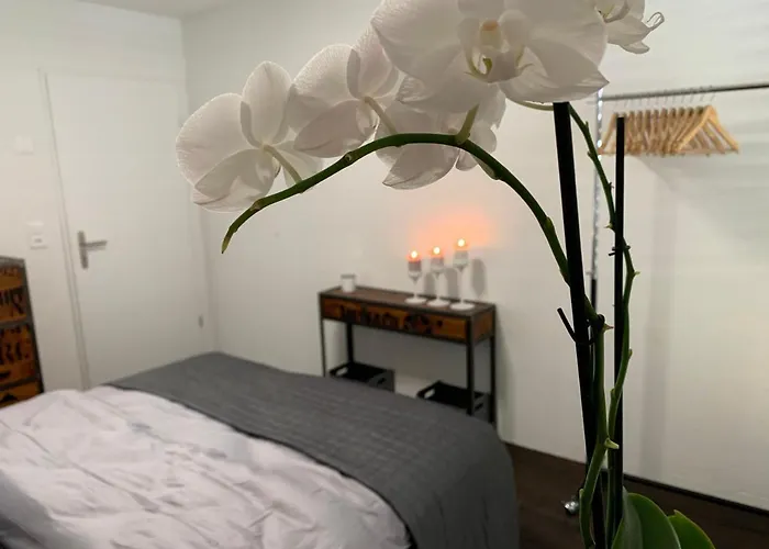 & Elegant In Privatunterkunft *